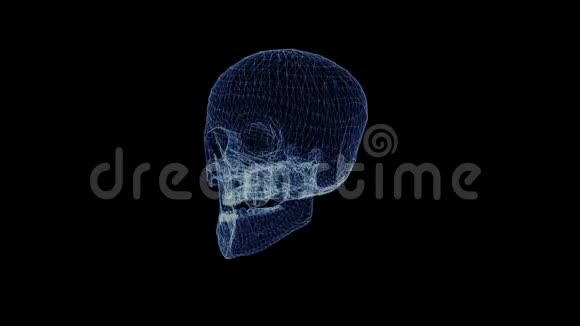 人类头骨的全息图视频的预览图