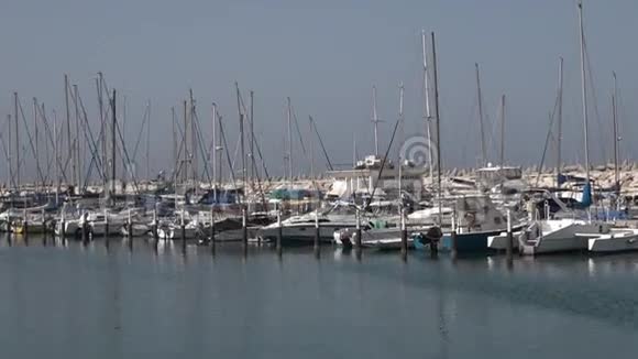 阿什克伦码头的游艇停泊地视频的预览图