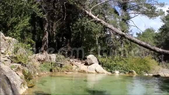 林间小池塘的PanZo镜头视频的预览图