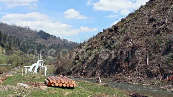 森林砍伐后的树桩位于视频的预览图