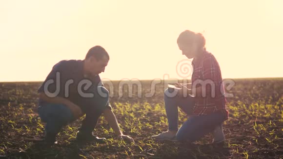 智能生态农业团队在农业中使用现代技术农民男女在泥地里工作视频的预览图