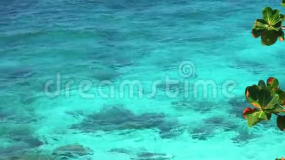阳光下海面浮起透明清水海底可见沙质视频的预览图