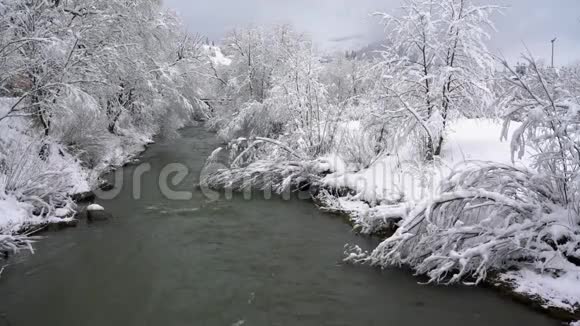 冬天的山河被树木和雪覆盖的河岸包围着视频的预览图
