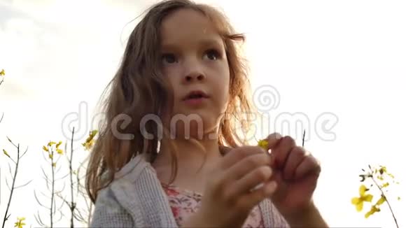 站在田野里摘花的小女孩视频的预览图