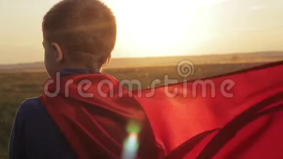 日落时分在田野里的超级英雄视频的预览图