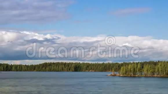 野生森林湖全景时间推移视频的预览图