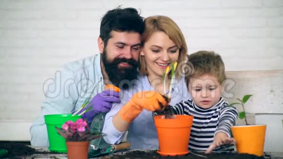 家庭在夏天种花在花盆里种花园艺的概念视频的预览图