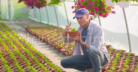 农业有信心的男性园丁检查盆栽植物视频的预览图