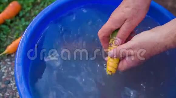 蔬菜正被装满水的桶里洗视频的预览图