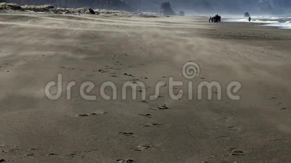 沙滩上从相机里吹走的沙子视频的预览图
