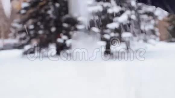 手浇雪冬林视频的预览图