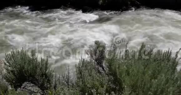 黄石国家公园的河流视频的预览图