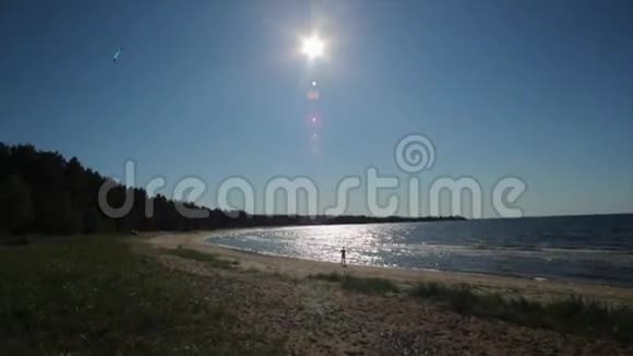 风筝在夏天阳光明媚的海滩上背景上的人剪影慢动作视频的预览图