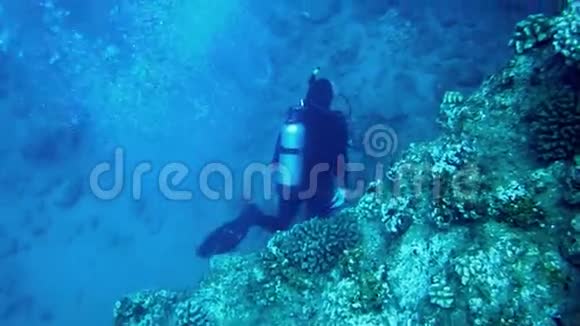 热带珊瑚礁高清水肺潜水员游泳视频的预览图