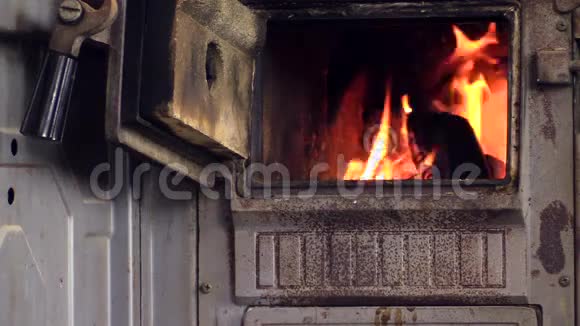 把炉子里烧着的木头放大女人坐在椅子上看书视频的预览图
