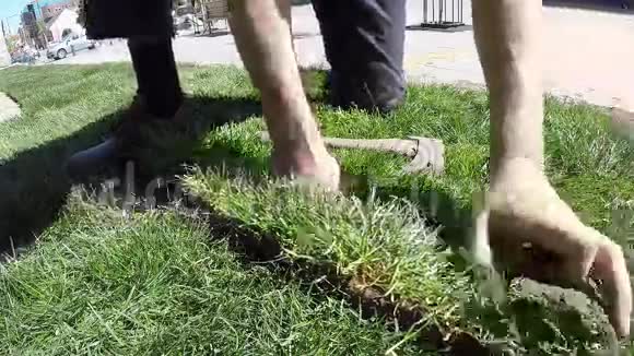 工人为新的草坪小草视频的预览图