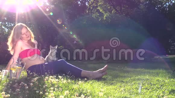 孕妇玩猫坐在阳光明媚的公园苜蓿草甸视频的预览图