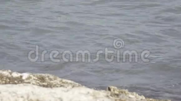 温暖的海浪在热带度假胜地的沙滩上带着雨伞和躺椅视频的预览图
