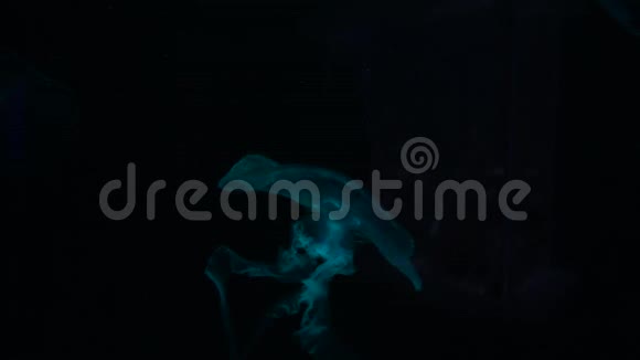 水母在大自然的背景下运动视频的预览图