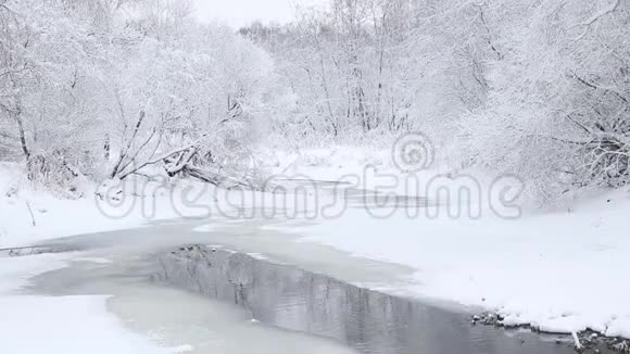 冬天的照片冬天的视频自然雪景雪中的树木视频的预览图