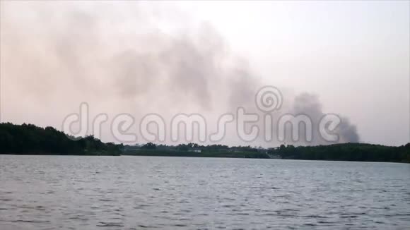 森林和池塘之外的烟雾燃烧着火视频的预览图