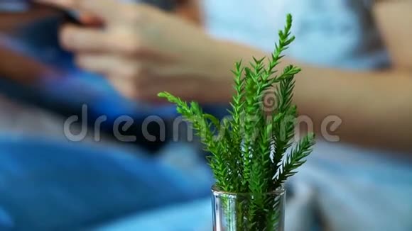 前景绿色植物视频手读书抽象的放松和教育视频的预览图