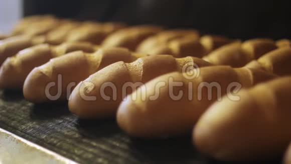 面包制品食品加工厂面包生产线食品工业视频的预览图