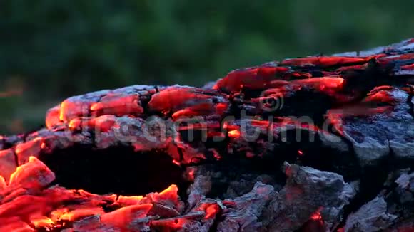 美丽的原木在火中燃烧视频的预览图