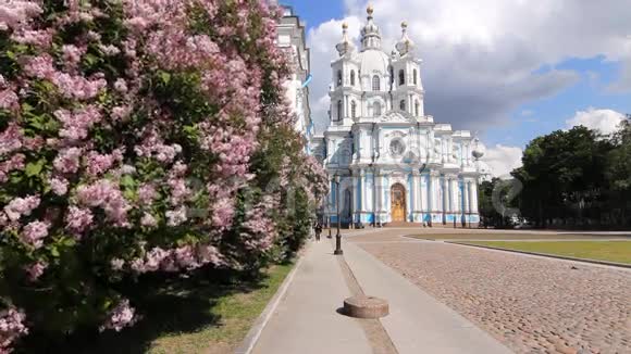 初夏的Smolny大教堂视频的预览图