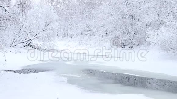 冬天的照片冬天的视频自然雪景雪中的树木视频的预览图