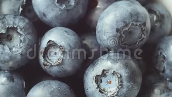 新鲜成熟的蓝色浆果旋转野生浆果关门视频的预览图