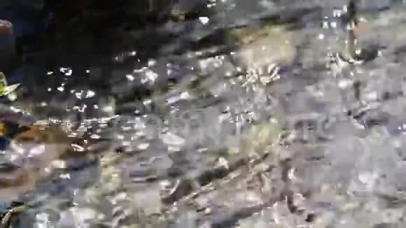 流动的水纯净的淡水视频的预览图