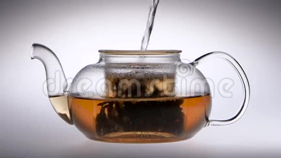 茶是用玻璃茶壶冲泡的慢动作工作室视频的预览图