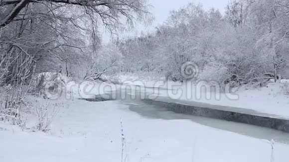 冬天的照片冬天的视频自然雪景雪中的树木视频的预览图