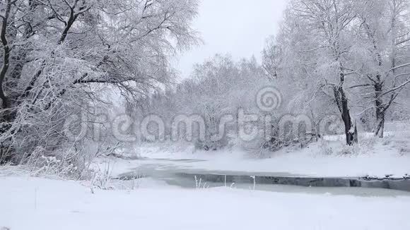 冬天的照片冬天的视频自然雪景雪中的树木视频的预览图