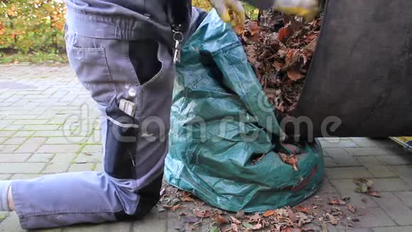 带工作手套的工人用塑料袋填充树叶视频的预览图