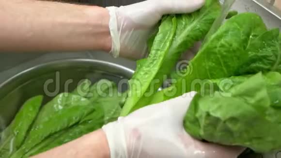 手洗新鲜生菜视频的预览图