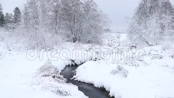 冬天的照片冬天的视频自然雪景雪中的树木视频的预览图