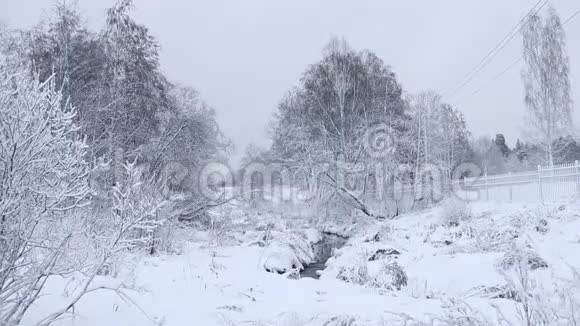 冬天的照片冬天的视频自然雪景雪中的树木视频的预览图