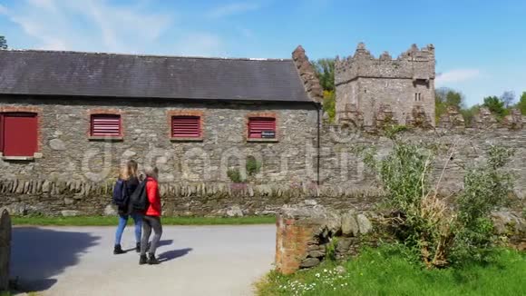 贝尔法斯特附近的北爱尔兰城堡沃德是一个受欢迎的地标视频的预览图