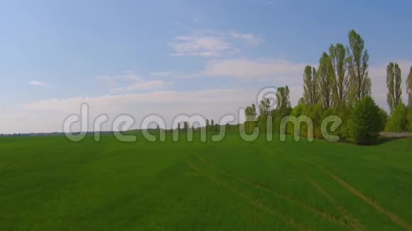 飞过一片碧绿的草地视频的预览图