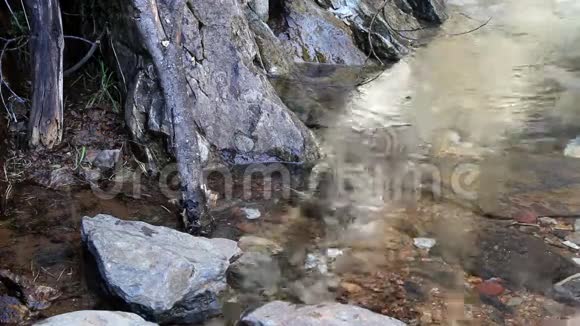 小溪流中的水滴创造视频的预览图
