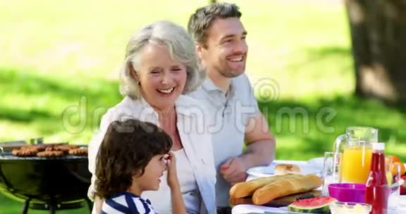 一家人在公园吃午饭对着镜头微笑视频的预览图