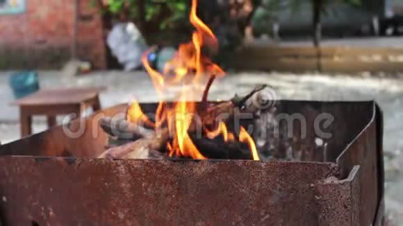 干燥的老树枝在烤架里燃烧视频的预览图