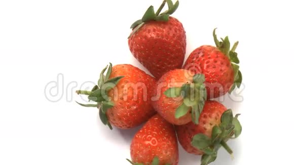 一群草莓视频的预览图