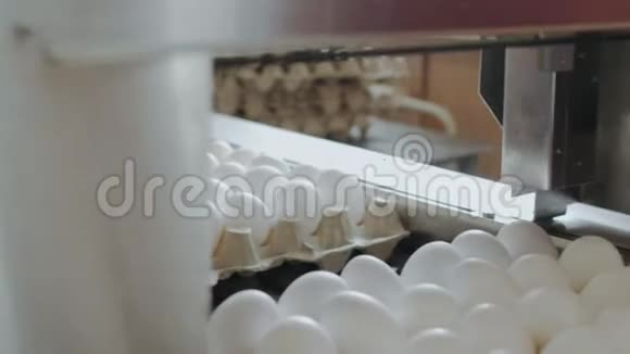 自动化装置在一个小农舍里标记母鸡蛋视频的预览图