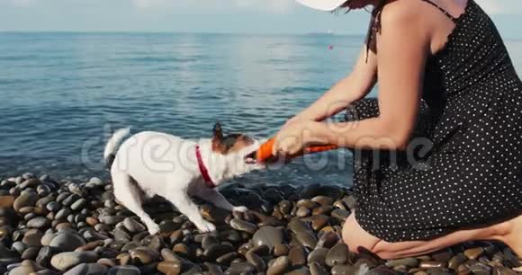 女人和她的狗玩视频的预览图