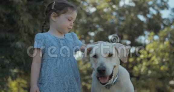 小女孩和一只大白狗玩视频的预览图