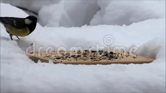冬天雪野鸟的觅食地视频的预览图