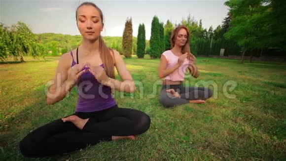 瑜伽概念视频的预览图
